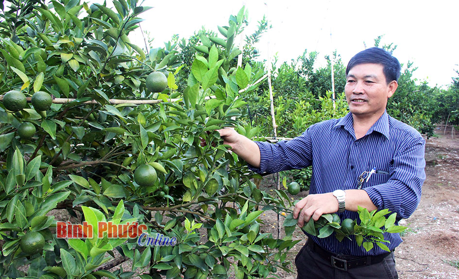 Không chỉ là nông dân sản xuất giỏi