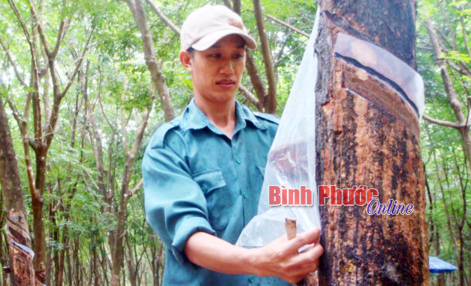 15 năm là công nhân giỏi