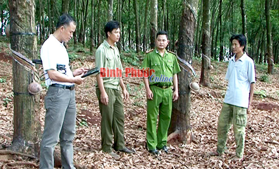 Ph&aacute; nhanh vụ &aacute;n mạng trong vườn cao su