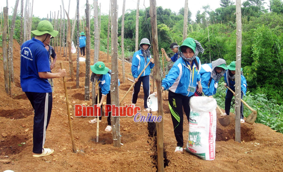 Dấu ấn áo xanh tình nguyện vùng biên