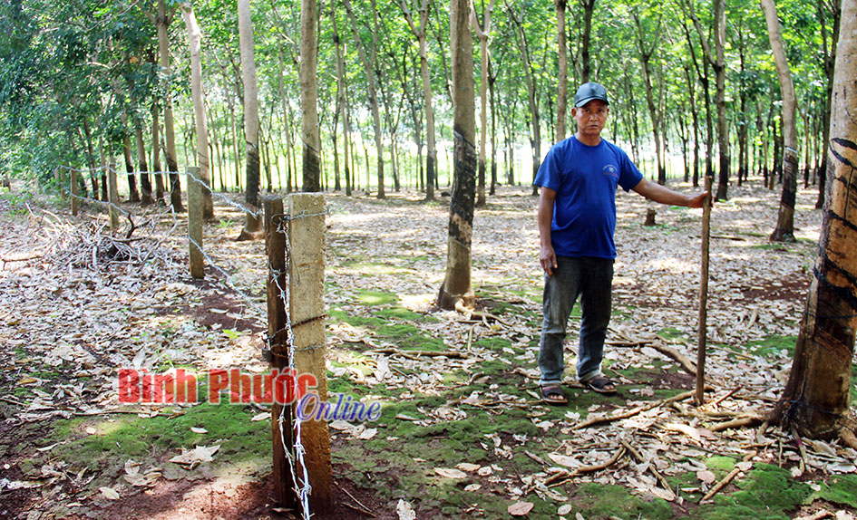 Vụ &aacute;n r&agrave;o đường ở B&igrave;nh Giai: Người d&acirc;n tiếp tục đi t&igrave;m c&ocirc;ng l&yacute;