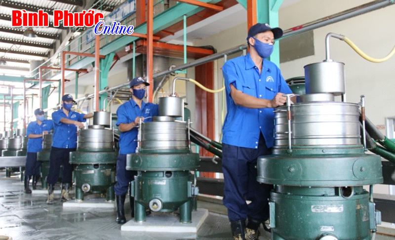 C&aacute;ch l&agrave;m hay ở Chi bộ Nh&agrave; m&aacute;y chế biến T&acirc;n Lập