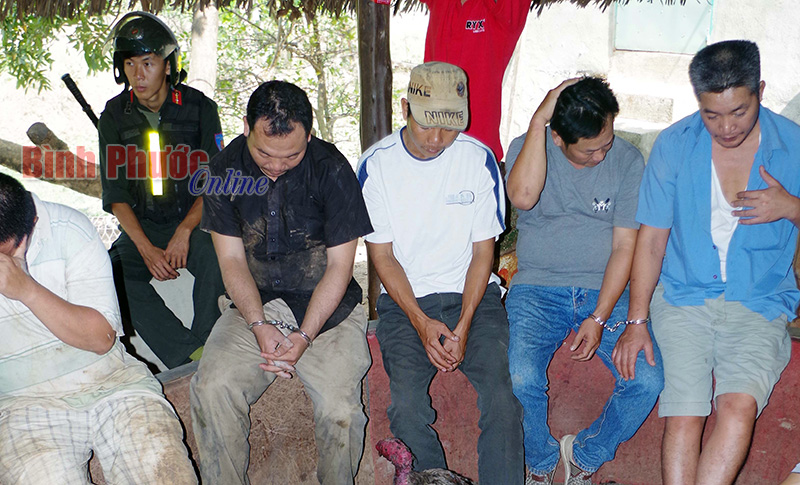 Cần dẹp bỏ tệ nạn đ&aacute; g&agrave; ăn tiền