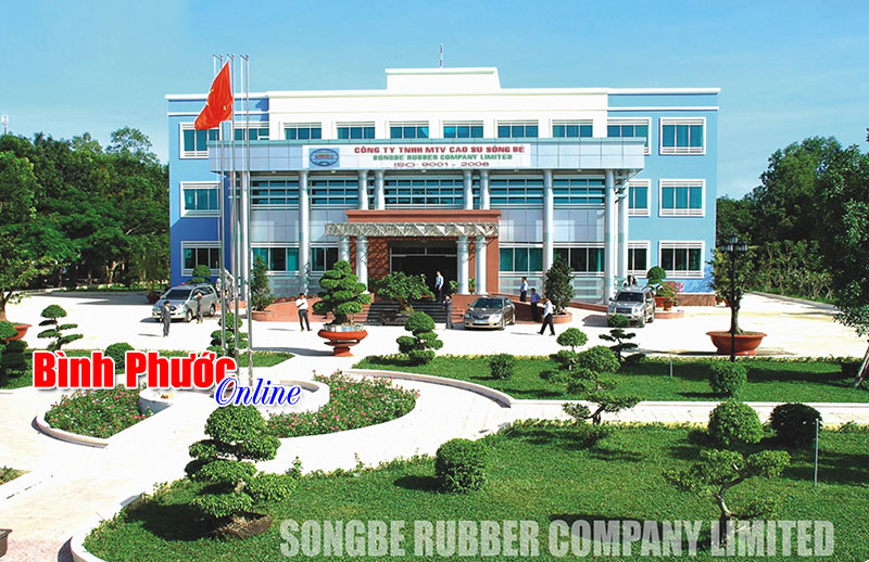 Xem xét đề án sắp xếp, đổi mới Công ty TNHH MTV cao su Sông Bé