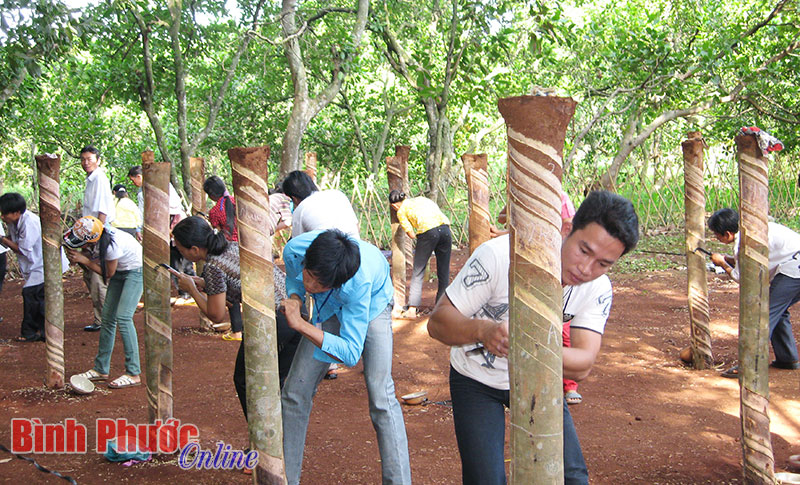 Giao ban hội n&ocirc;ng d&acirc;n c&aacute;c tỉnh, th&agrave;nh Đ&ocirc;ng Nam bộ