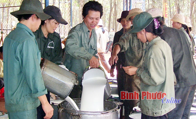 Thái Lan kêu gọi Việt Nam tham gia Tập đoàn Cao su quốc tế