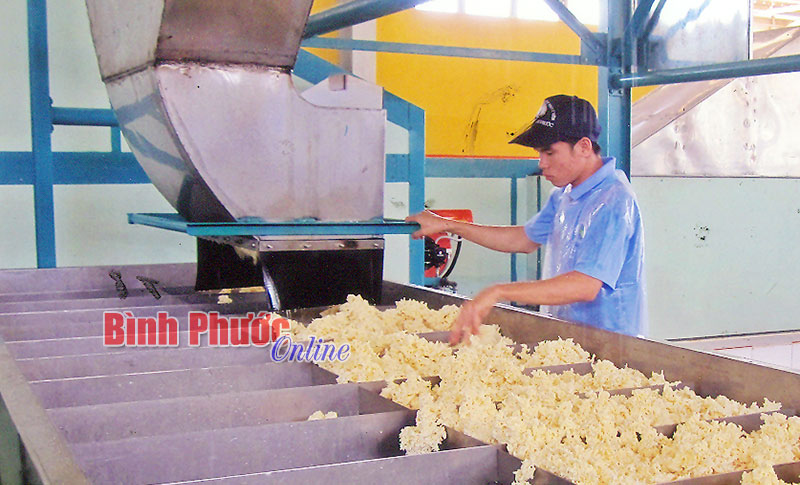 C&ocirc;ng ty Cao su B&igrave;nh Phước x&acirc;y dựng đảng gắn với ph&aacute;t triển sản xuất - kinh doanh