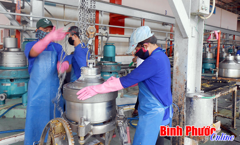 Xứng đáng danh hiệu “Sao vàng đất Việt”