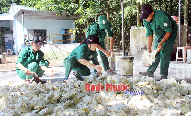 Phát triển ổn định nhờ tiết kiệm chi phí, hạ giá thành sản xuất