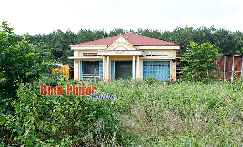 Nghịch cảnh ở chợ Tân Hưng