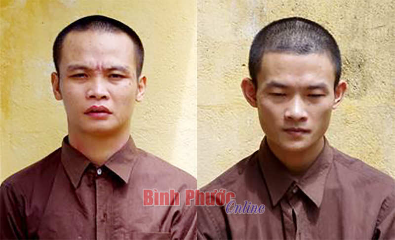 Nh&oacute;m chuy&ecirc;n trộm ch&oacute; sa lưới