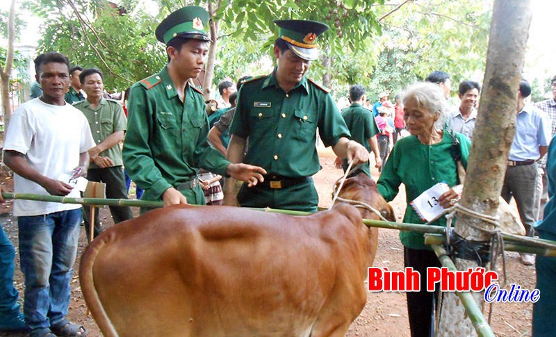 Dự án “Ngân hàng bò sinh sản” của bộ đội biên phòng giúp ĐBDTTS biên giới thoát nghèo