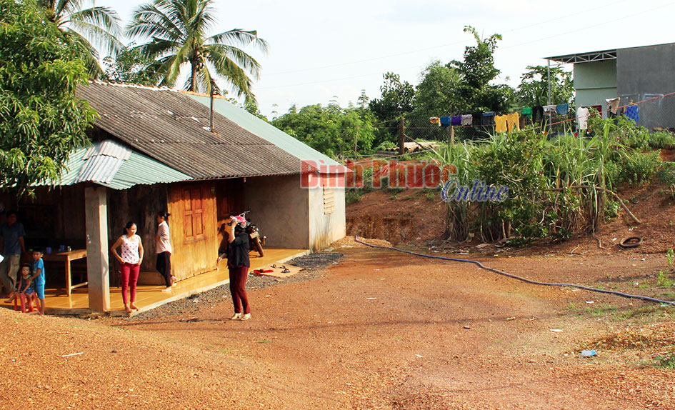 Nỗi đau từ đất