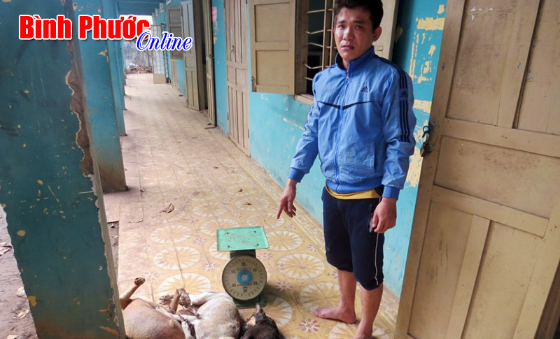 H&agrave;nh vi trộm ch&oacute; c&oacute; thể l&atilde;nh &aacute;n chung th&acirc;n