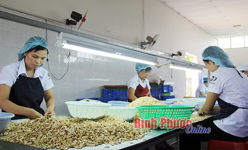 N&ecirc;n đ&aacute;nh gi&aacute; ri&ecirc;ng c&aacute;c chương tr&igrave;nh đột ph&aacute; v&agrave; xem x&eacute;t lại chỉ ti&ecirc;u thu ng&acirc;n s&aacute;ch