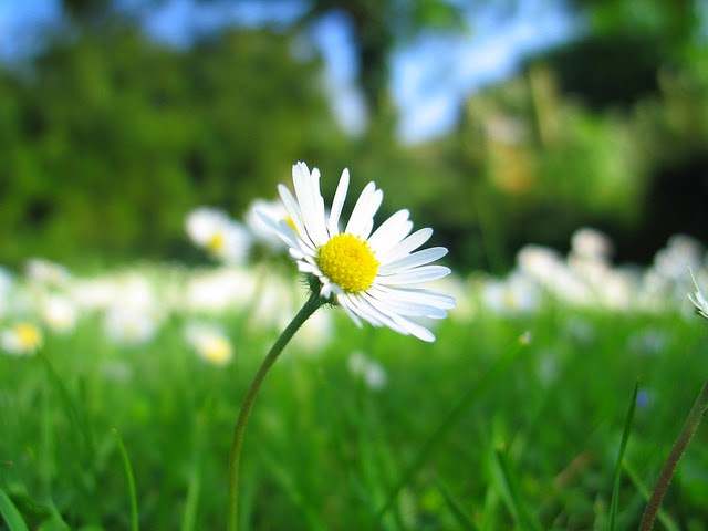 Văn hóa… nhường