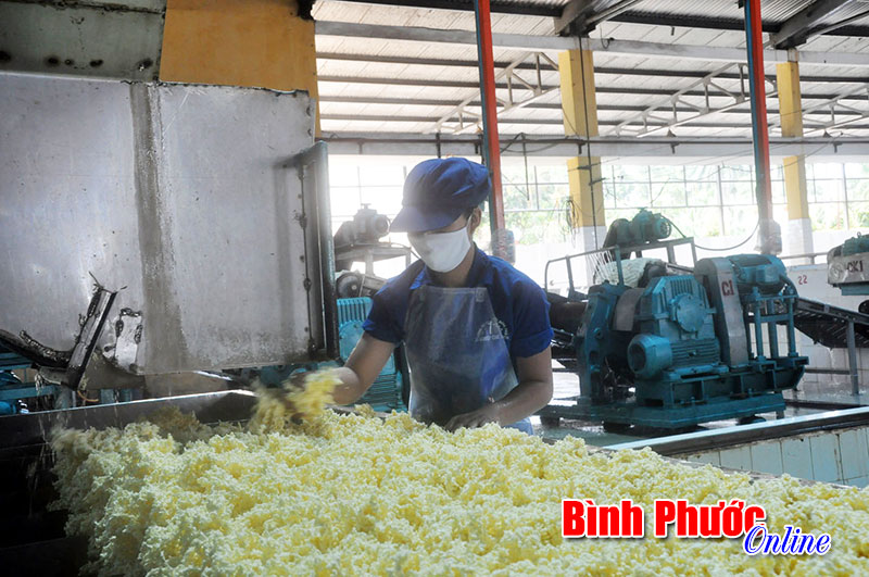 Xí nghiệp chế biến Thuận Phú: Ổn định sản xuất gắn bảo vệ môi trường