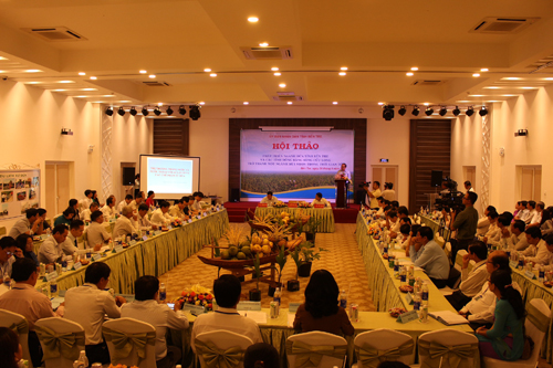 Từ chuyện cây dừa đến chuyện hợp tác kiểu mới