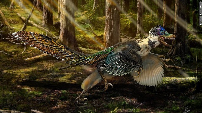 Phát hiện hóa thạch của loài "khủng long rồng" tại Trung Quốc