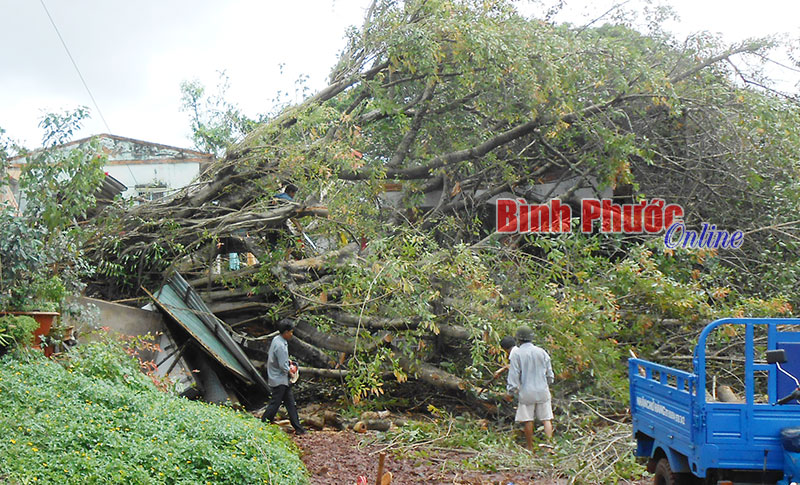 Mưa lớn, lốc xoáy ở thị trấn Lộc Ninh