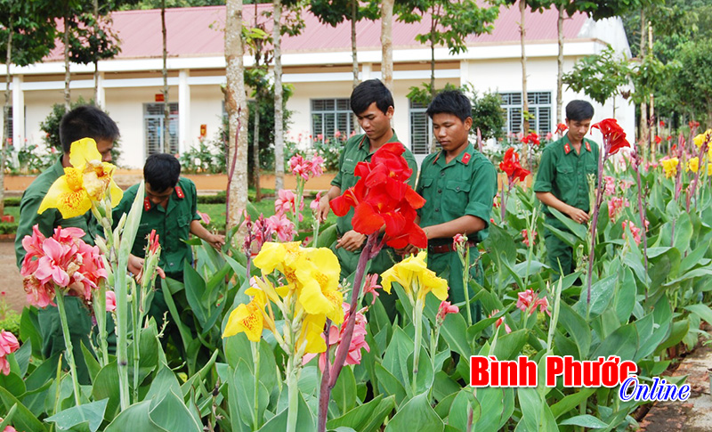 Nghĩa t&igrave;nh bộ đội v&ugrave;ng bi&ecirc;n