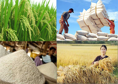 Nhất nhì để làm gì?