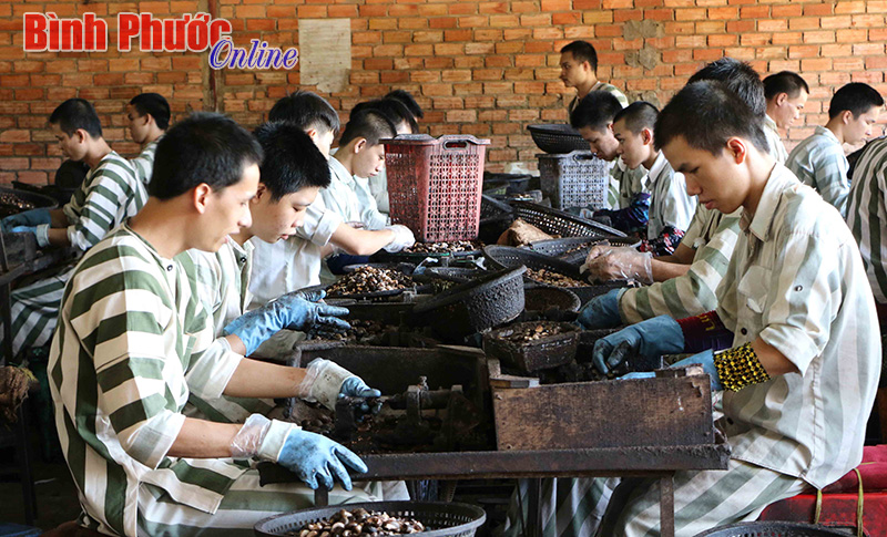 Những người lầm lỗi trước ng&agrave;y về với cộng đồng