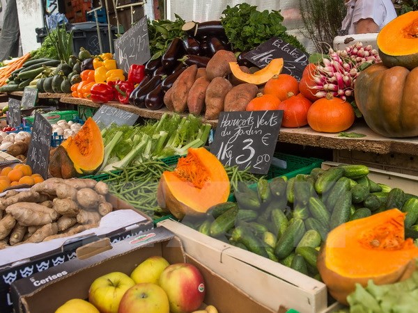 Nền nông nghiệp Pháp thiệt hại nặng do đòn trả đũa của Nga