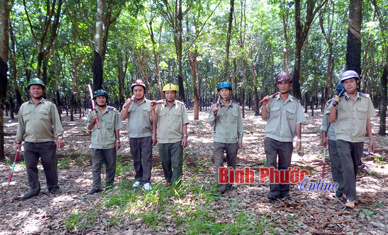  Bảo vệ tốt vườn cây, sản phẩm từ công tác dân vận