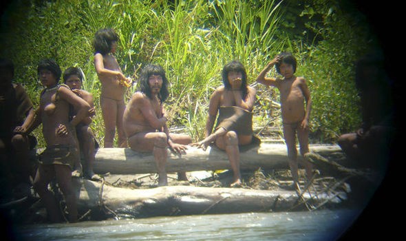 Bộ lạc bí ẩn ở Amazon bất ngờ xuất hiện, dùng cung bắn chết người - Binh  Phuoc, Tin tuc Binh Phuoc, Tin mới tỉnh Bình Phước