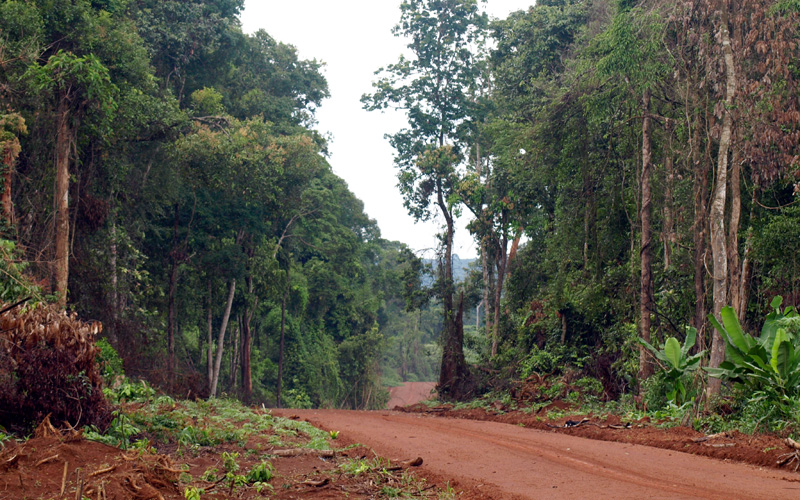Phân cấp quản lý nhà nước đối với rừng phòng hộ