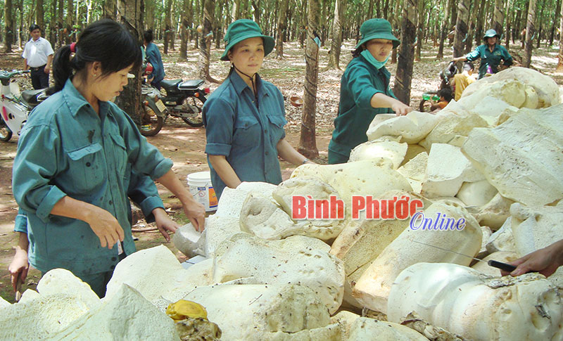 Tác động tích cực từ thực hiện quy chế dân chủ