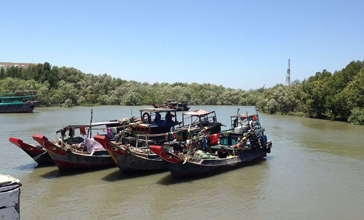 Thạnh An - đảo tiền ti&ecirc;u của th&agrave;nh phố Hồ Ch&iacute; Minh