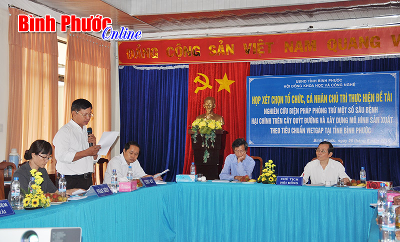 Thống nhất thực hiện đề tài xây dựng mô hình cây quýt đường theo hướng VietGap