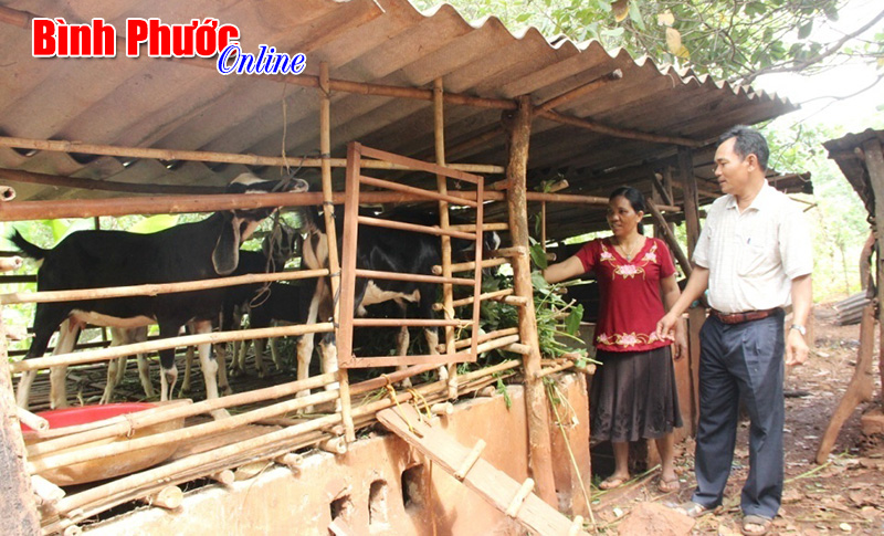 Trưởng ấp đi xin việc cho d&acirc;n