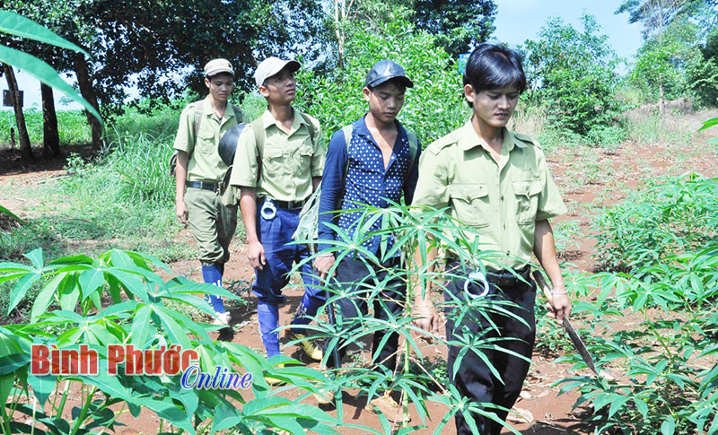 Tuổi trẻ vùng đệm vườn quốc gia Bù Gia Mập: Giữ cho rừng mãi xanh