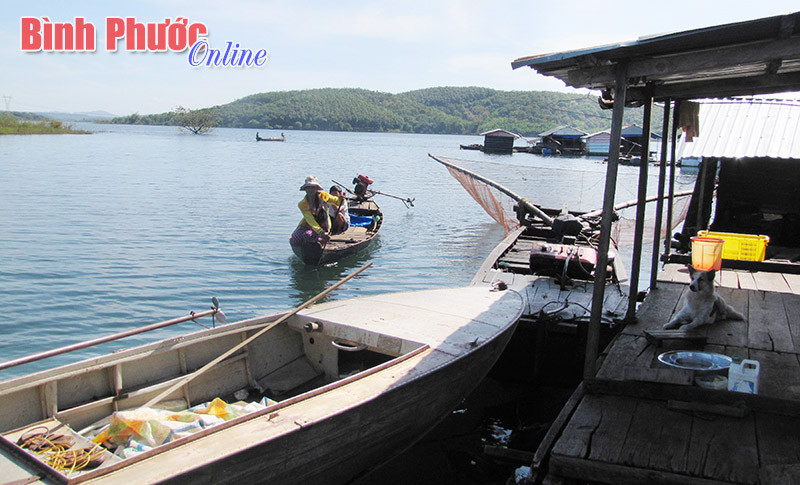 Việt kiều Campuchia chưa có giấy tờ tùy thân: Sớm liên hệ với UBND cấp xã đăng ký làm thủ tục