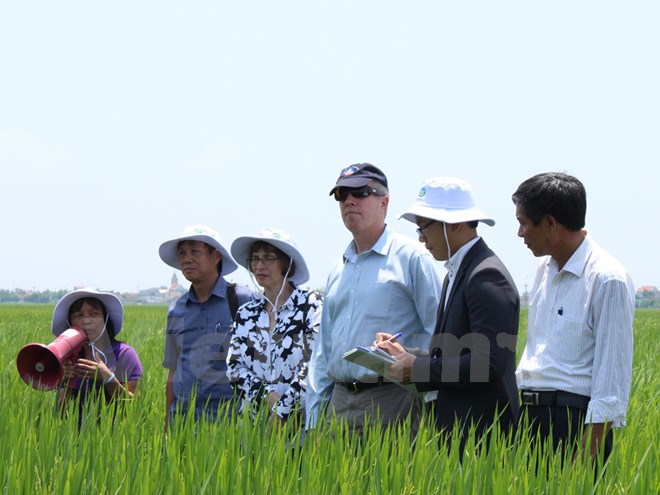 Hoa Kỳ-Việt Nam hợp tác thúc đẩy sáng kiến về biến đổi khí hậu