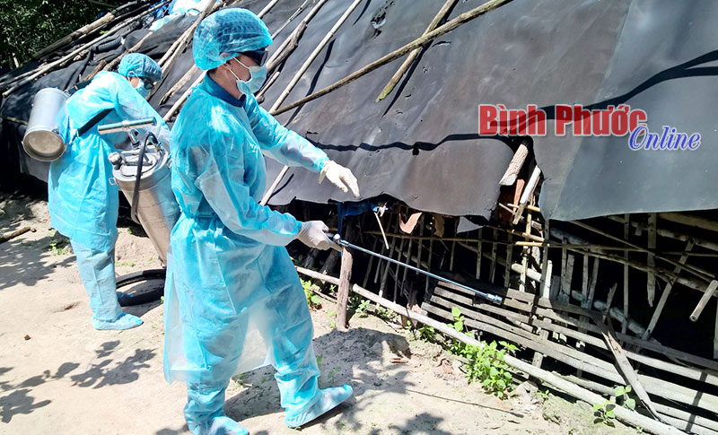 Phun hóa chất diệt bọ đậu đen ở Chơn Thành