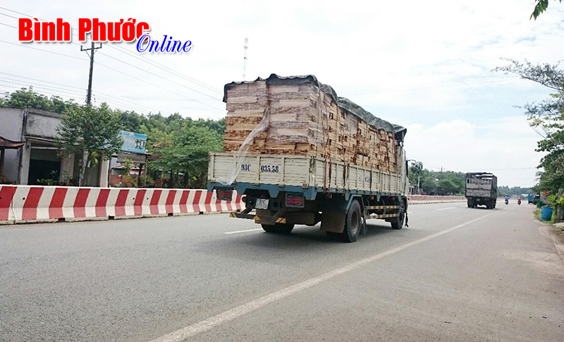 Ảnh ph&ecirc; b&igrave;nh: Nguy hiểm từ xe chở gỗ
