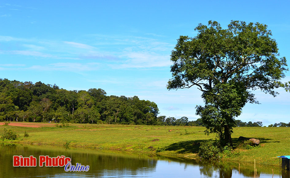 Nhiều chính sách ưu đãi thu hút đầu tư phát triển ngành du lịch
