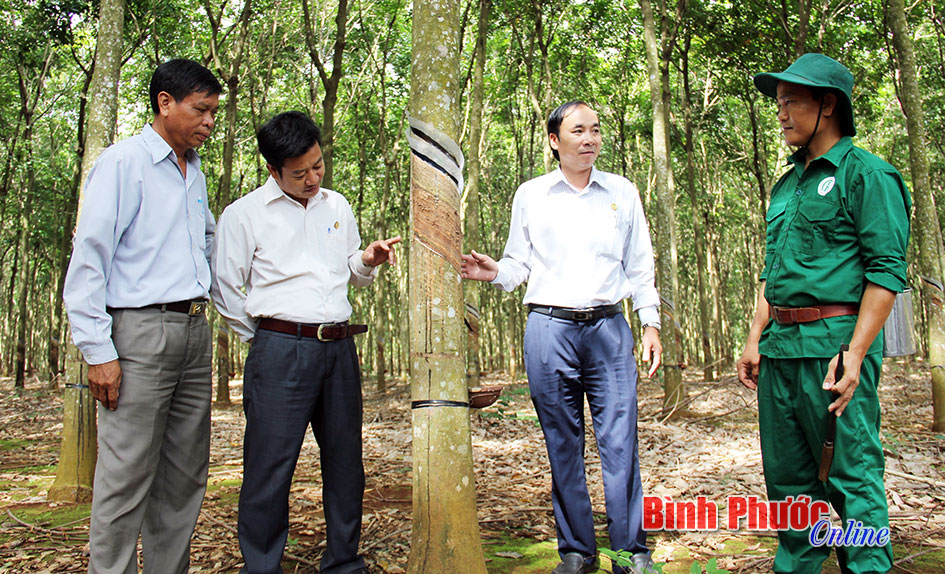 Tiêu chí đánh giá cán bộ quản lý doanh nghiệp nhà nước