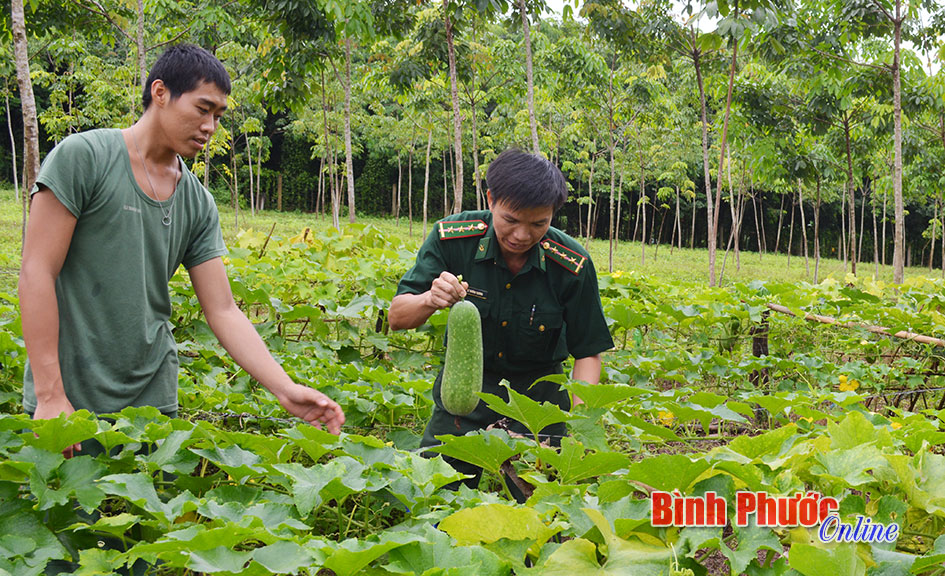 Anh nuôi của những người lính biên phòng