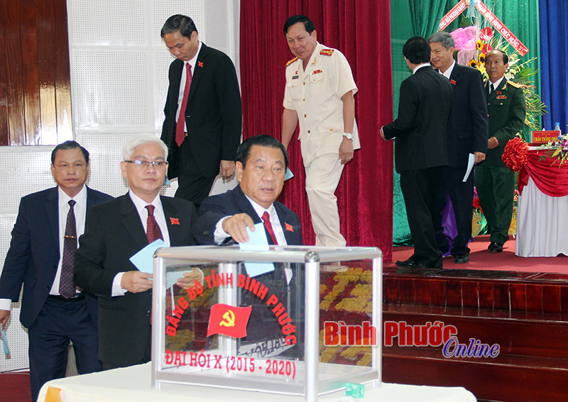 Danh s&aacute;ch Ban Chấp h&agrave;nh Đảng bộ tỉnh B&igrave;nh Phước kh&oacute;a X, nhiệm kỳ 2015-2020