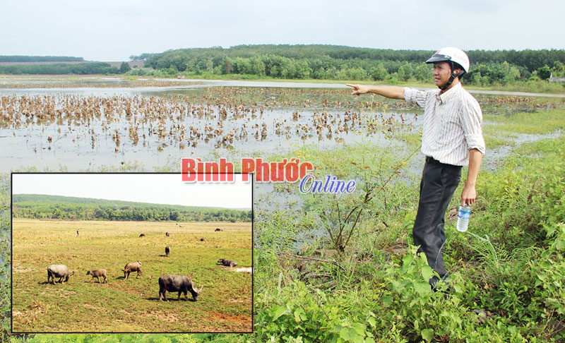 B&ugrave; Đốp với &ldquo;cuộc chiến&rdquo; chống hạn