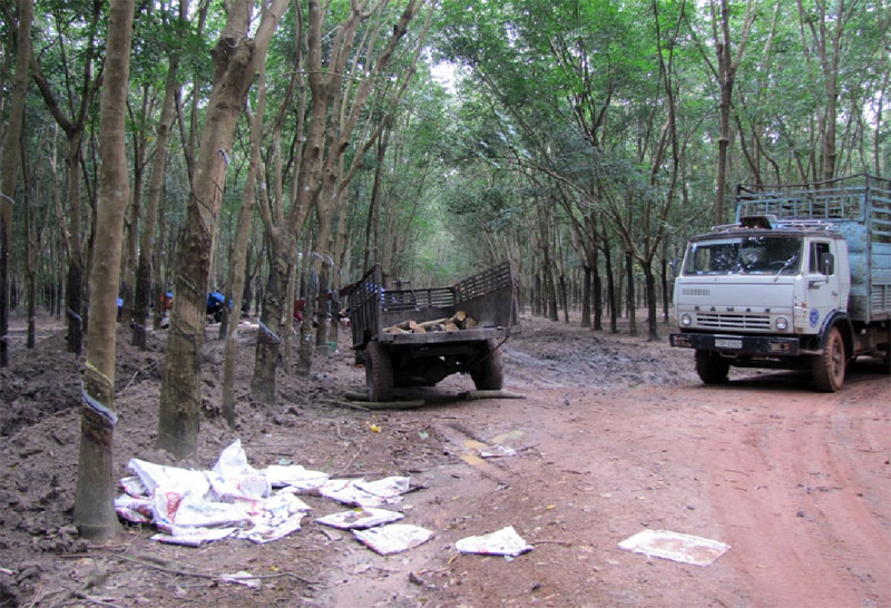 Cấp giấy chứng nhận quyền sử dụng đất l&acirc;m phần giao địa phương quản l&yacute; mới đạt 39,5%