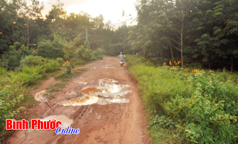 Chồng chất khó khăn ở Thạnh Tây (Bài cuối)
