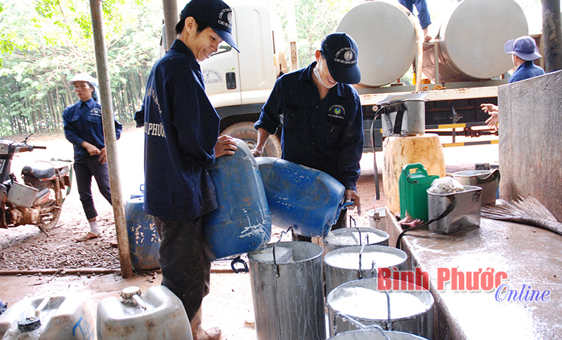 Giải đ&aacute;p một số quy định của Bộ luật Lao động