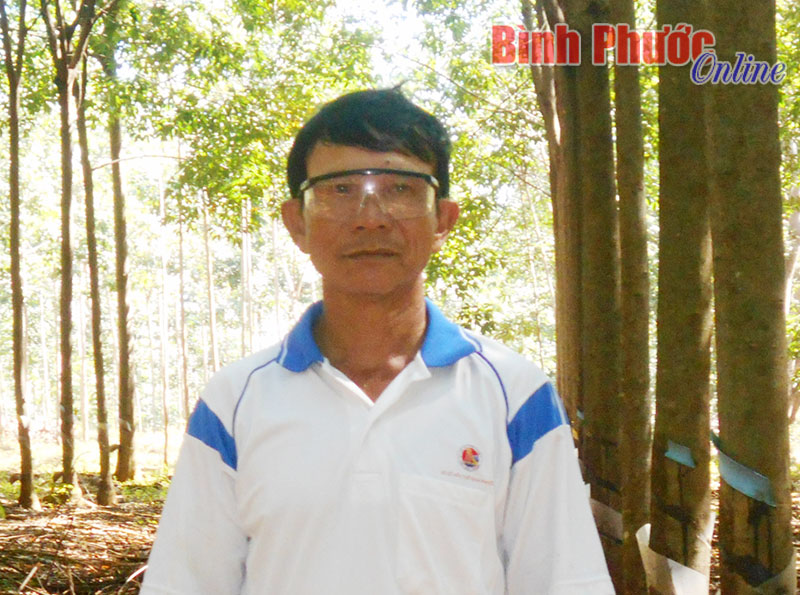 Cựu chiến binh Hồ Ánh: Nông dân giỏi cấp thị xã 14 năm liền