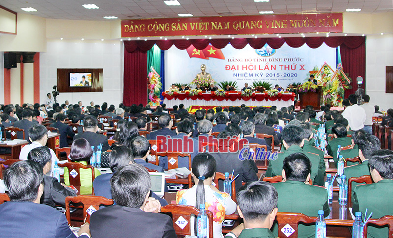 Những cặp vợ chồng c&ugrave;ng l&agrave; đại biểu dự Đại hội Đảng bộ tỉnh lần thứ X, nhiệm kỳ 2015-2020